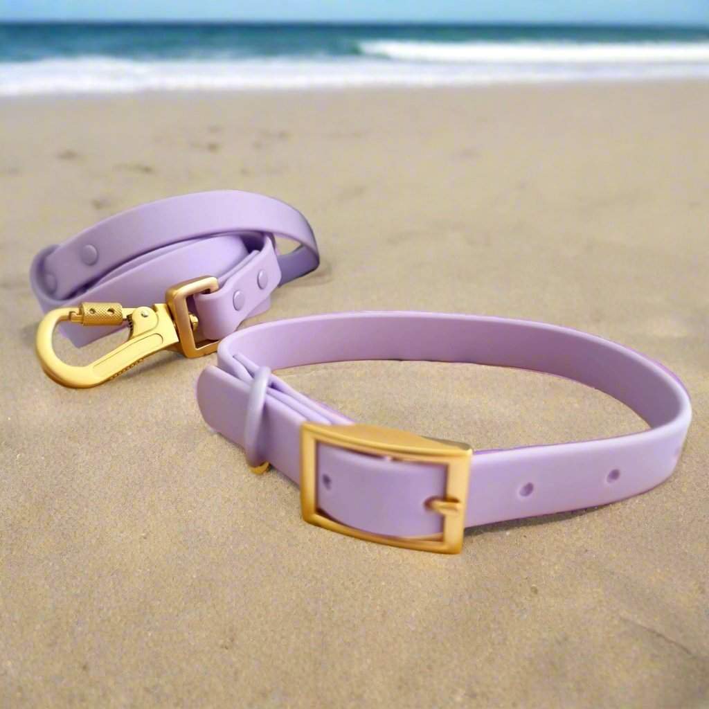 Waterproof PVC Dog Leash |  Pastel Purple