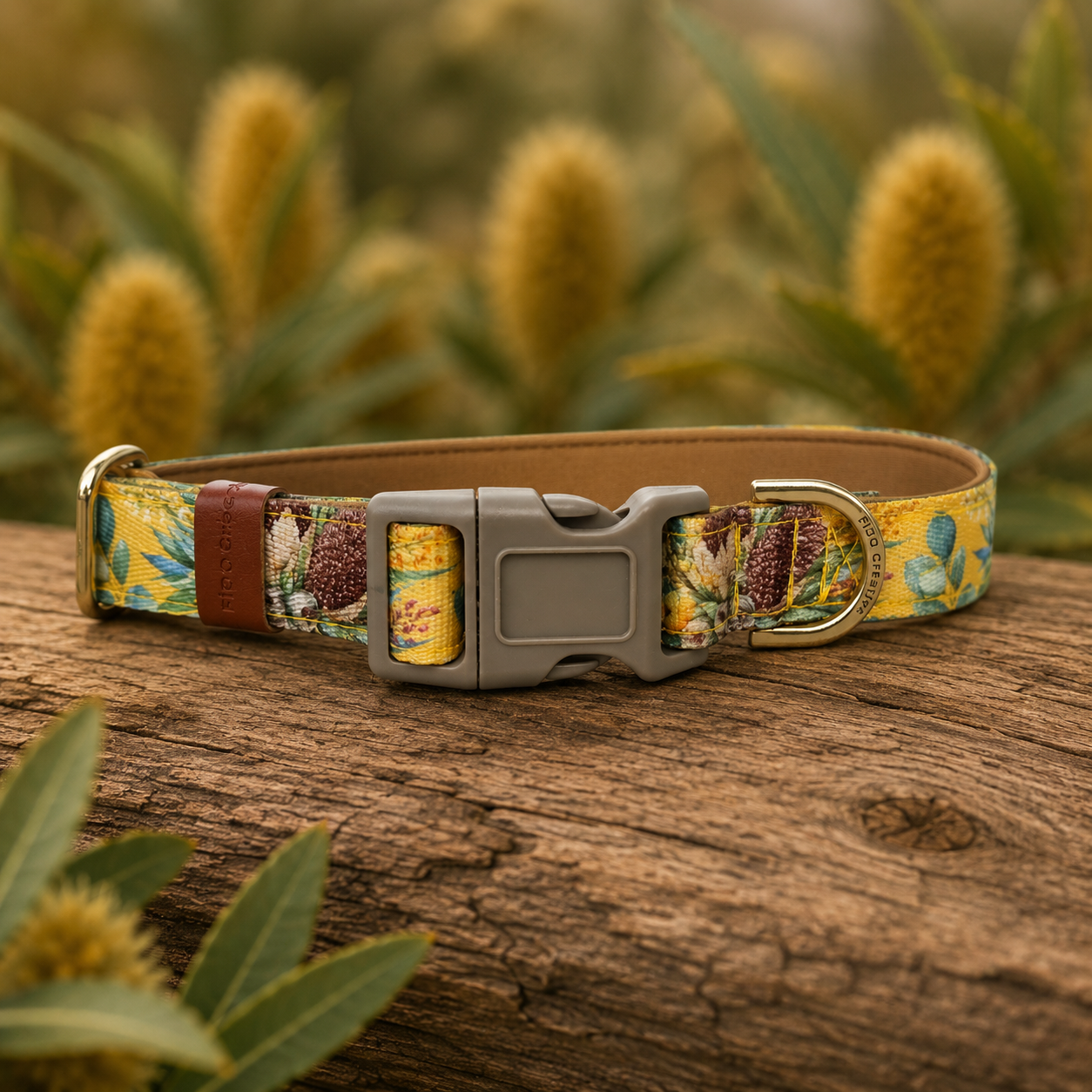 Mustard Banksia Dog Collar – Australian Native Floral Buckle Collar