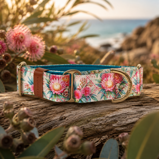 Martingale Collar - Padded Pink Gum Flower