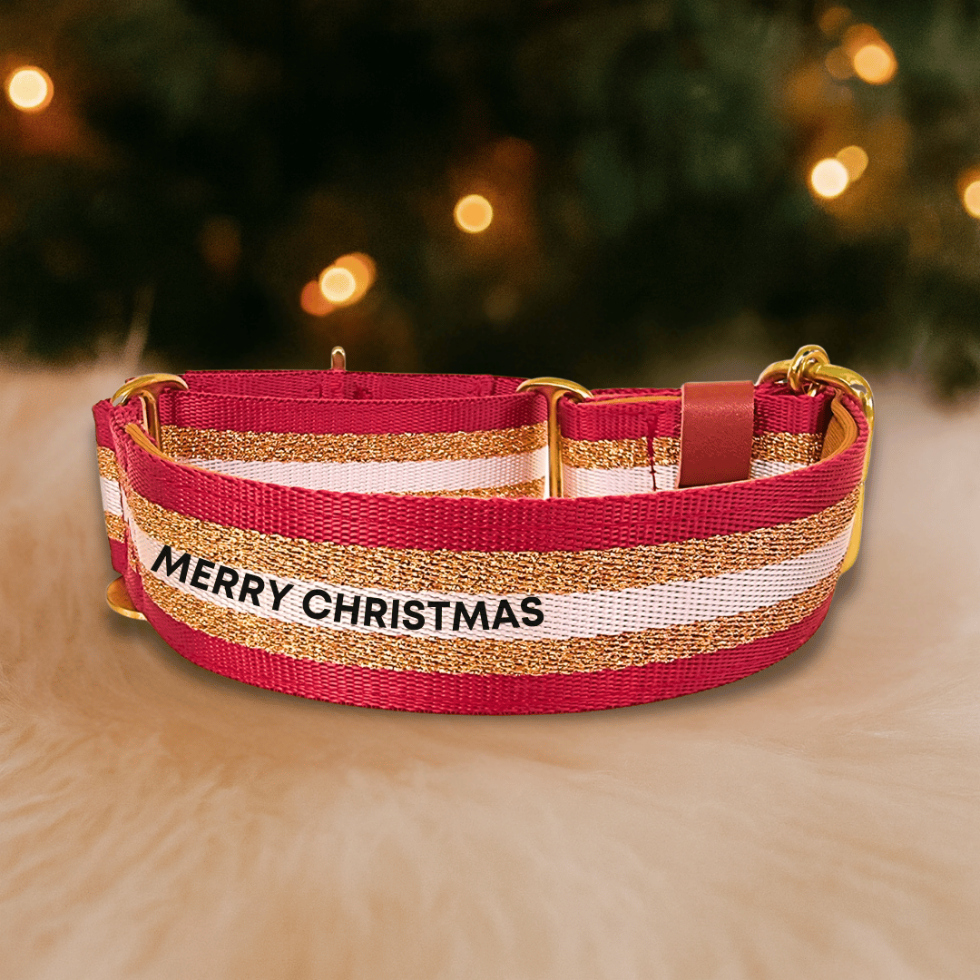 Red Festive Glitter Dog Collar – Personalised Christmas buckle or martingale collar (1.5" Wide)