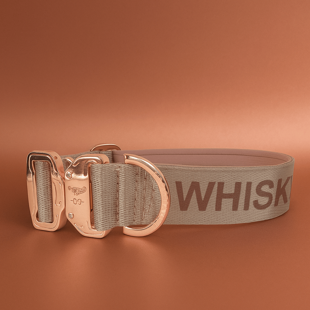 beige name dog collar