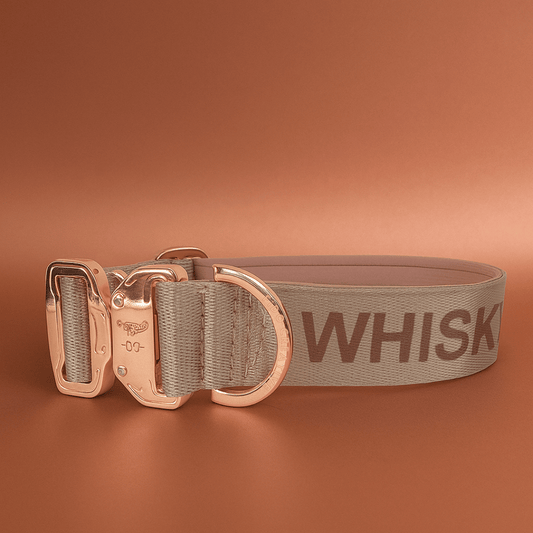 Light Beige Dog Collar with Neoprene Padding & Tactical Buckle – Optional personalised Name