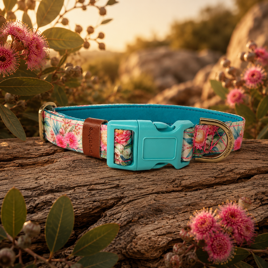 Pink Blossom Dog Collar – Adjustable Buckle Collar