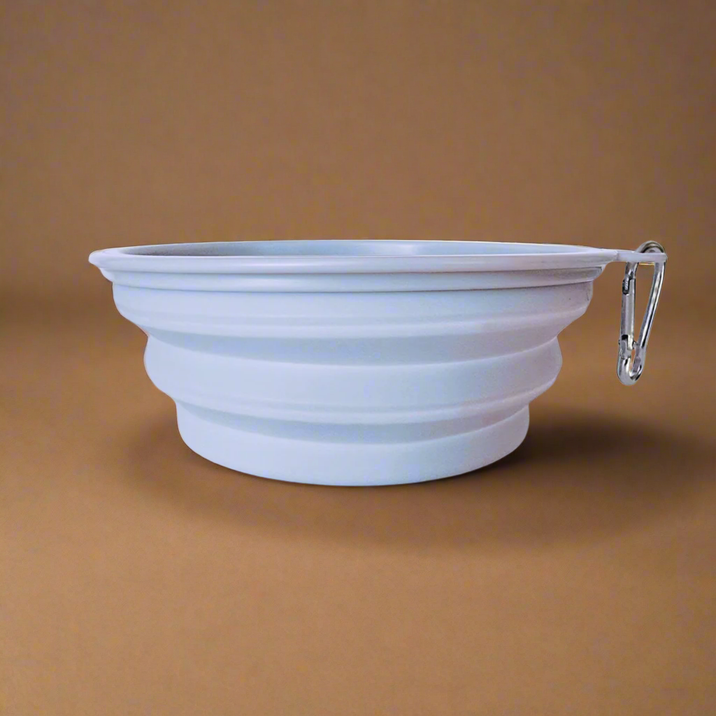 Foldout dog bowl