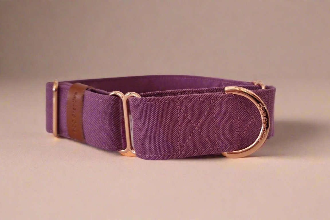 Martingale collar - Passiona Purple - Cotton Canvas