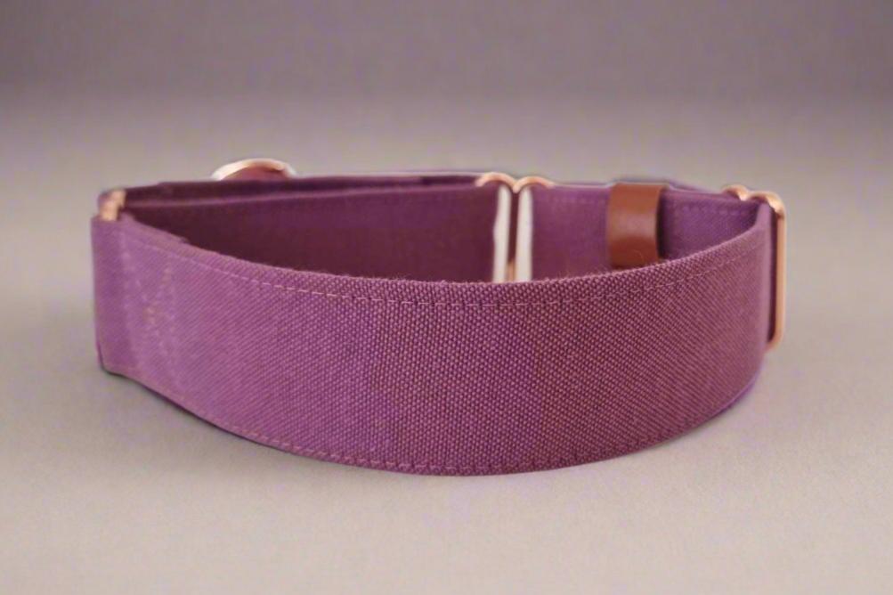 Martingale collar - Passiona Purple - Cotton Canvas