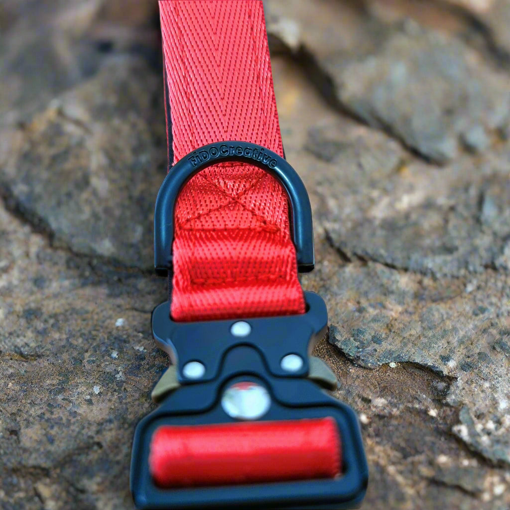 Durable red dog collar 