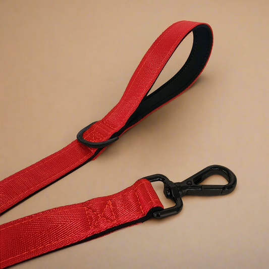 Red dog leash