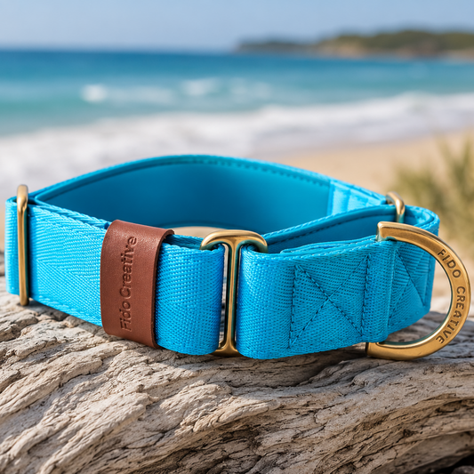 Bright blue Martingale Dog Collar – Padded, personalised with Dog’s Name Optional