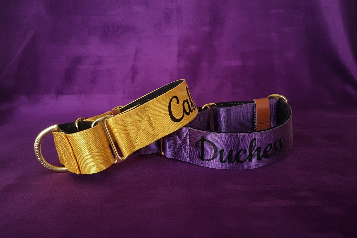 Yellow Martingale Dog Collar – Padded, personalised with Dog’s Name Optional