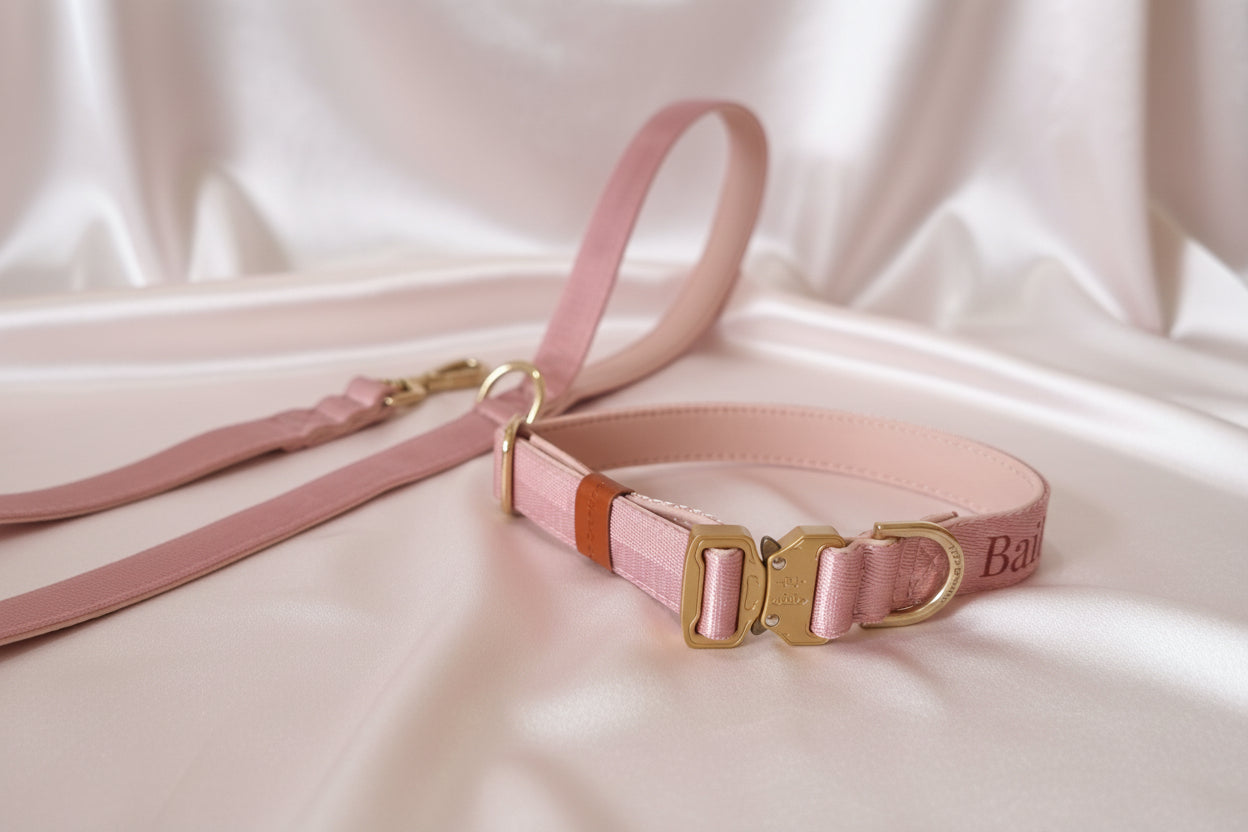 Dusty Pink Dog Collar with Neoprene Padding & Tactical Buckle – Optional personalised Name