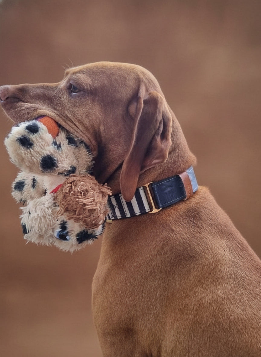 Nautical Stripe Martingale collar - Padded