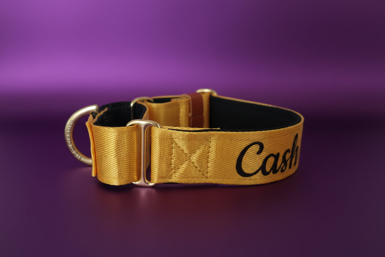 Yellow Martingale Dog Collar – Padded, personalised with Dog’s Name Optional