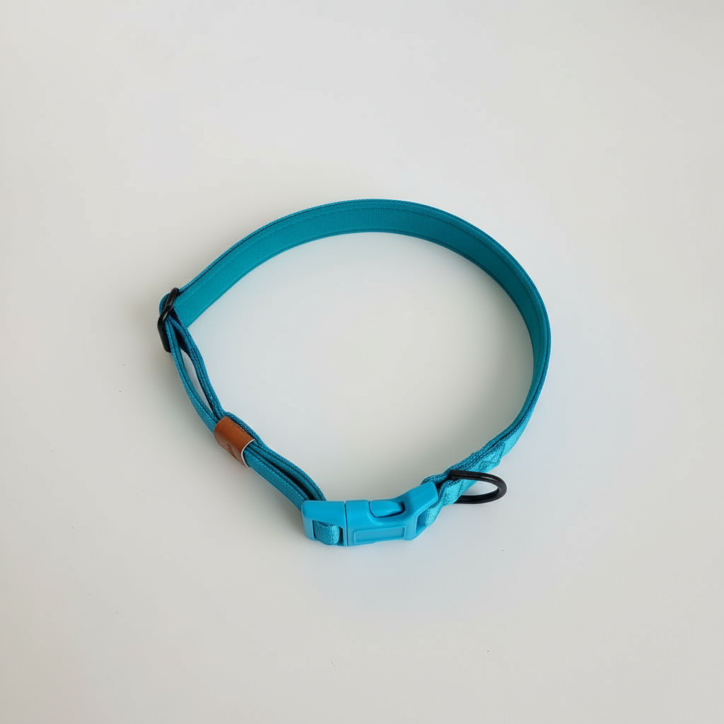 Bright Blue padded dog collar with buckle - Optional name dog collar