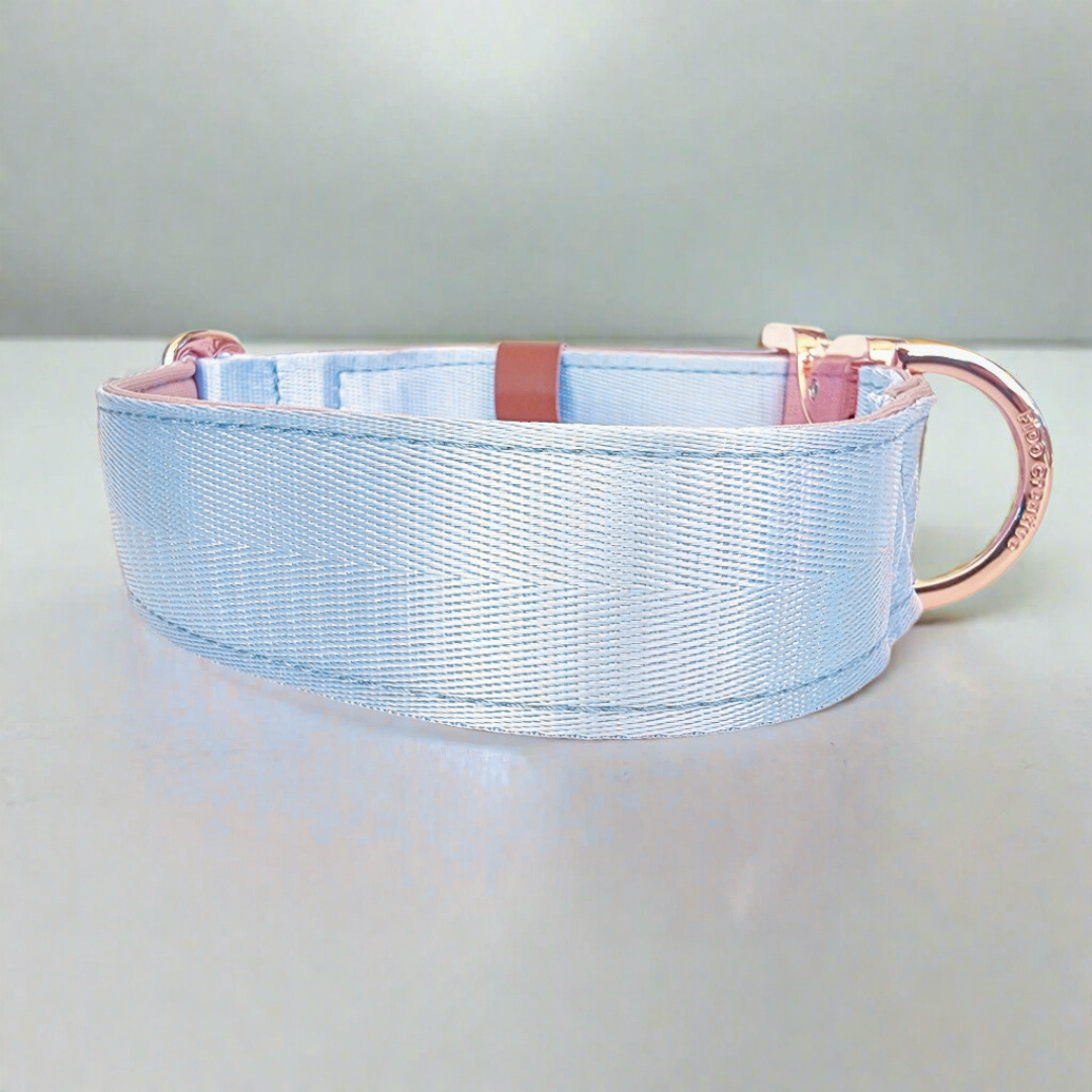 Light blue wedding dog collar 