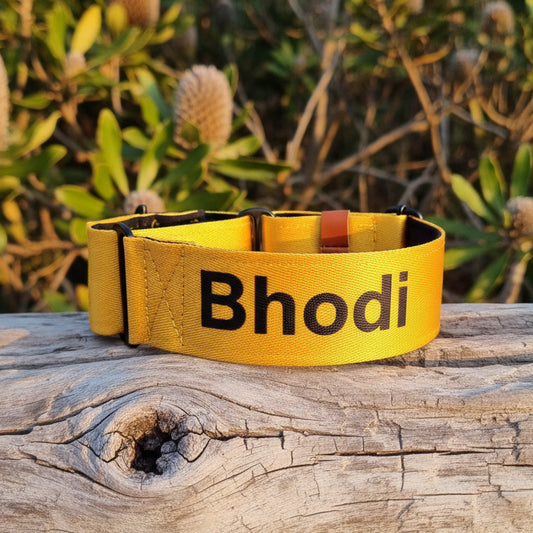 Yellow Martingale Dog Collar – Padded, personalised with Dog’s Name Optional
