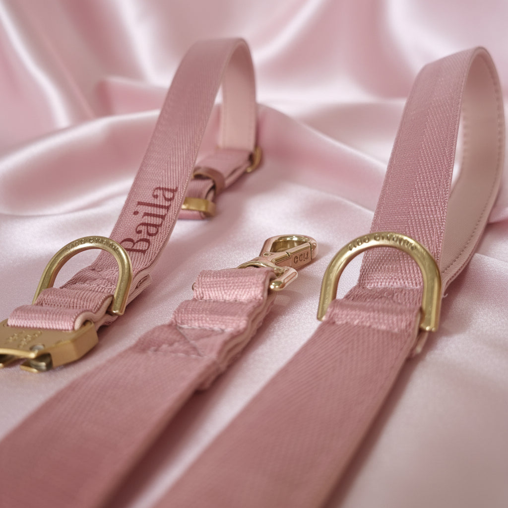 Dusty Pink Dog Collar with Neoprene Padding & Tactical Buckle – Optional personalised Name