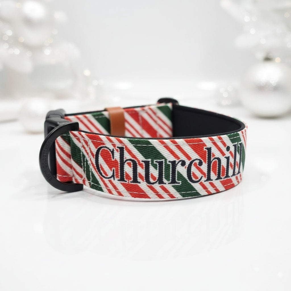 Candy Cane Christmas Martingale Collar – Padded for Comfort