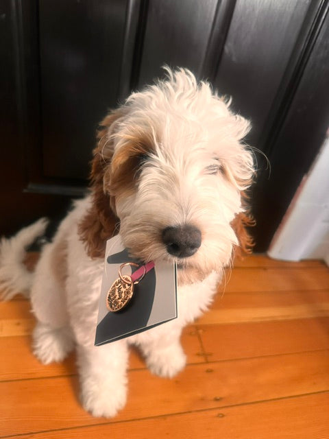 Floral Pet ID Tag – Dog Collar Accessory With Deep Engraving