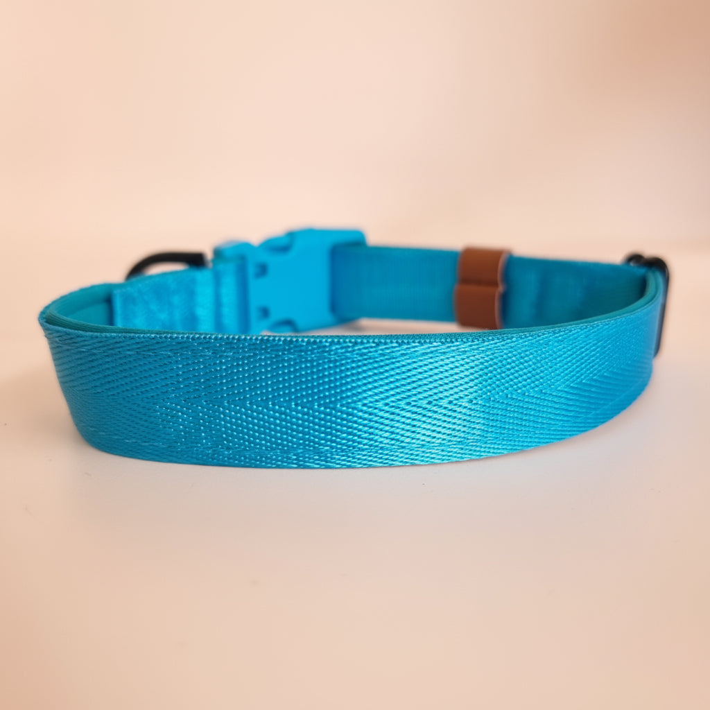 Bright Blue padded dog collar with buckle - Optional name dog collar