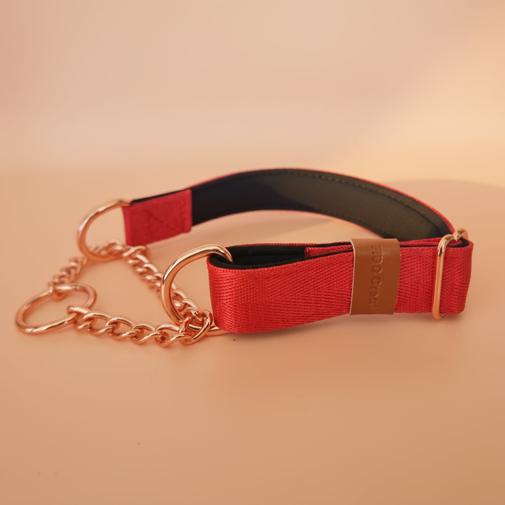 Chain Martingale Dog Collar – Adjustable and Padded