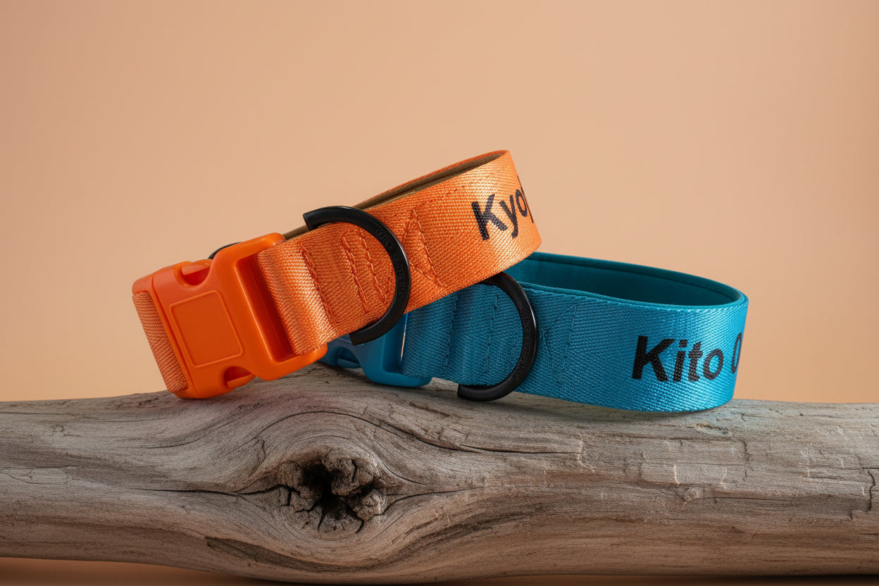Bright Blue padded dog collar with buckle - Optional name dog collar