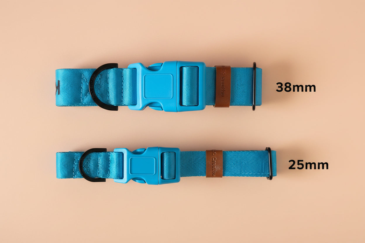 Bright Blue padded dog collar with buckle - Optional name dog collar