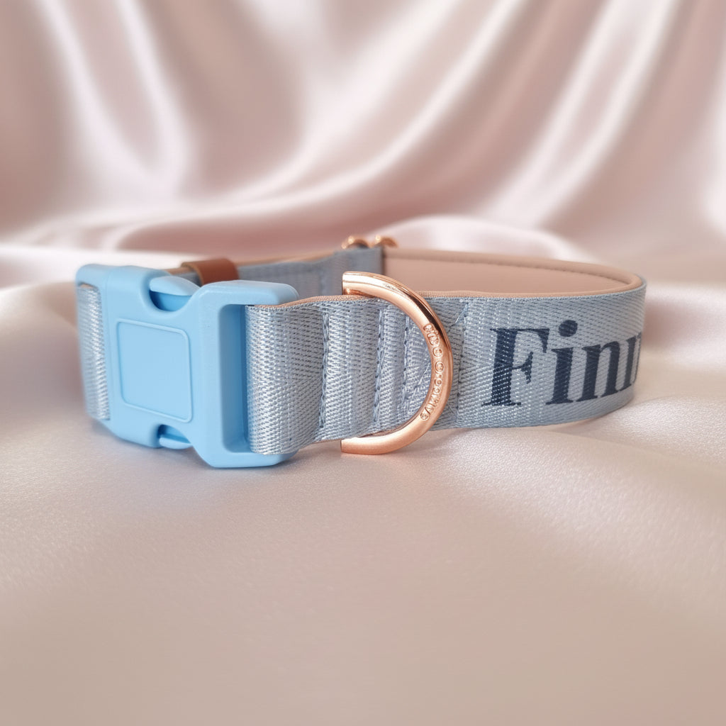 Light Blue Dog Collar with Neoprene Padding & Tactical Buckle – Optional personalised Name