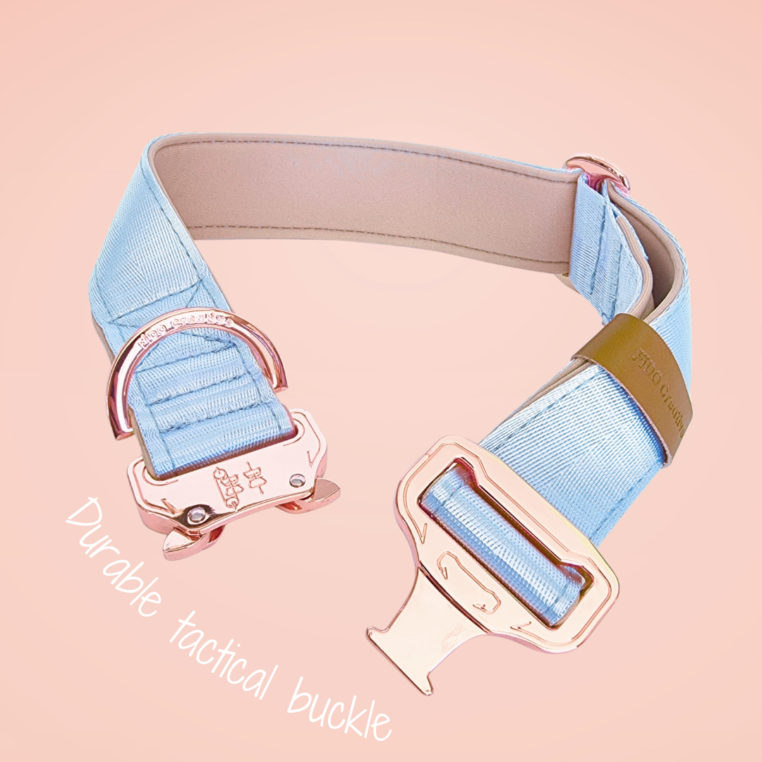 Baby blue dog collar 