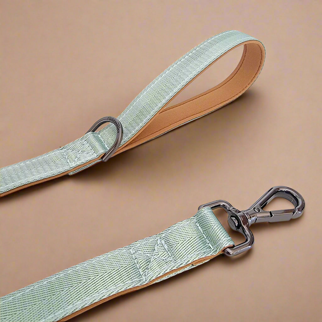 Light green dog leash