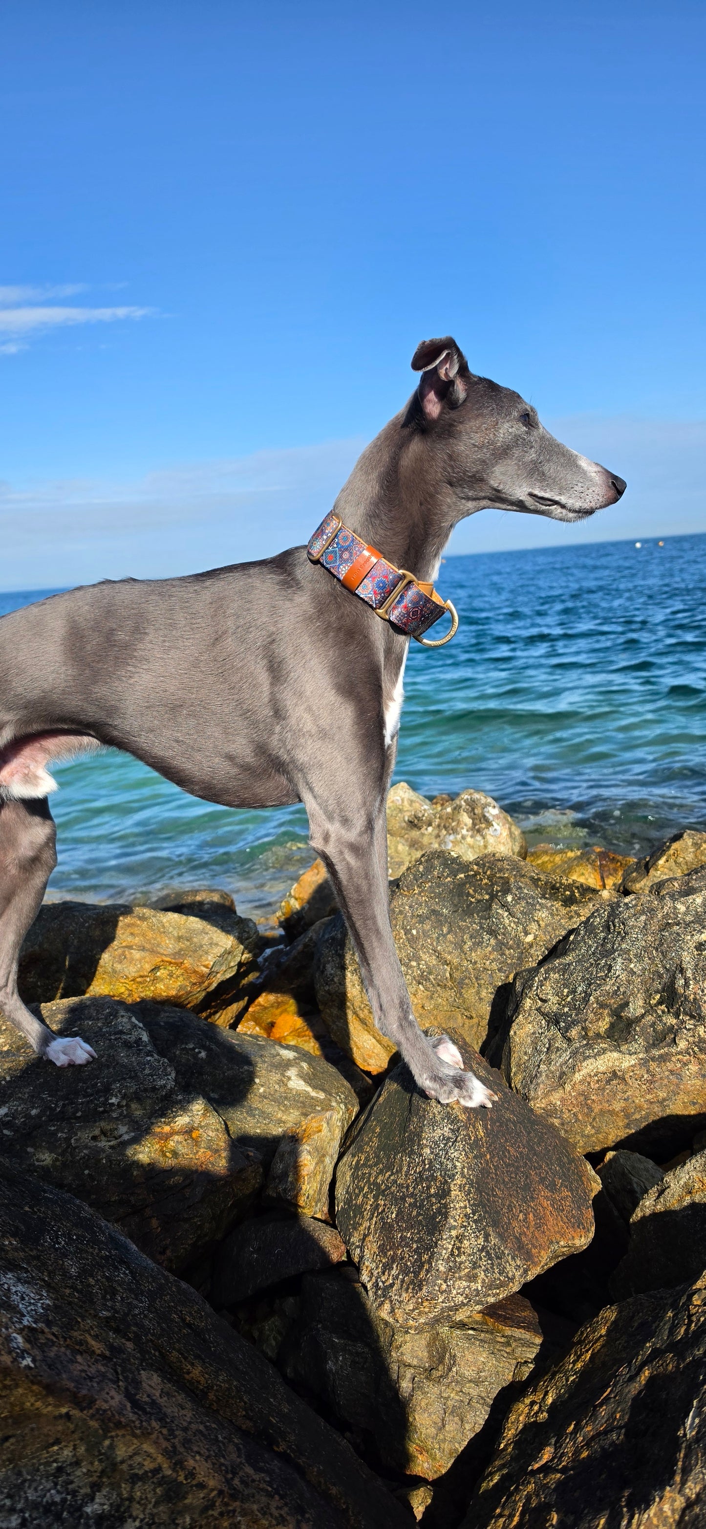 Martingale Dog Collar – Mosaic Pattern, Soft Neoprene Padding, Adjustable Training Collar with Brass Hardware
