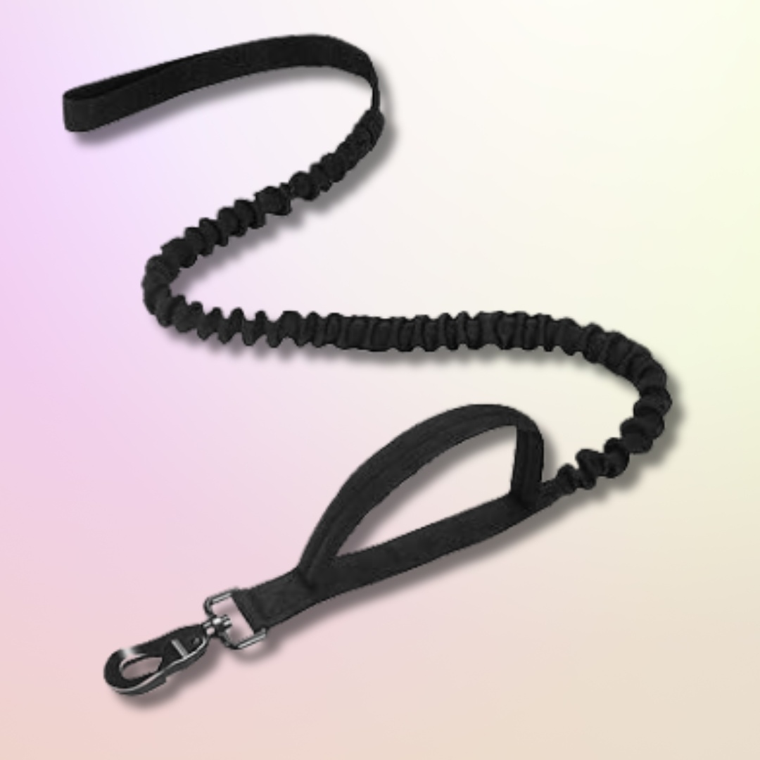 Training Dog leash