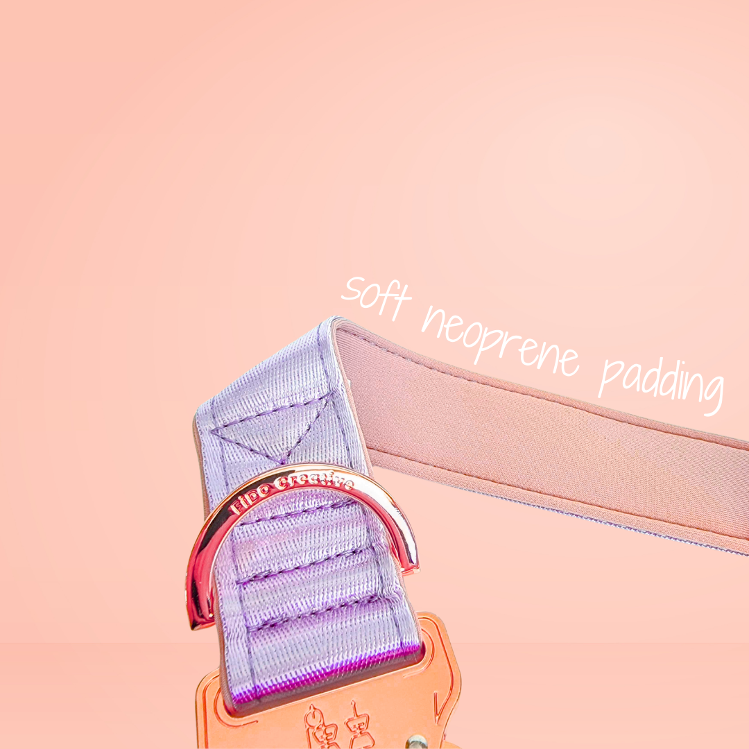 Light purple dog collar