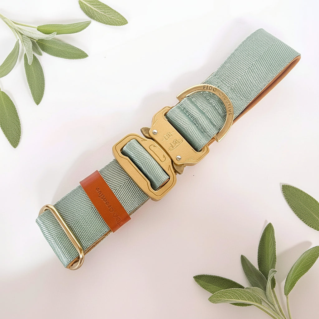 Light green dog collar with tactical buckle