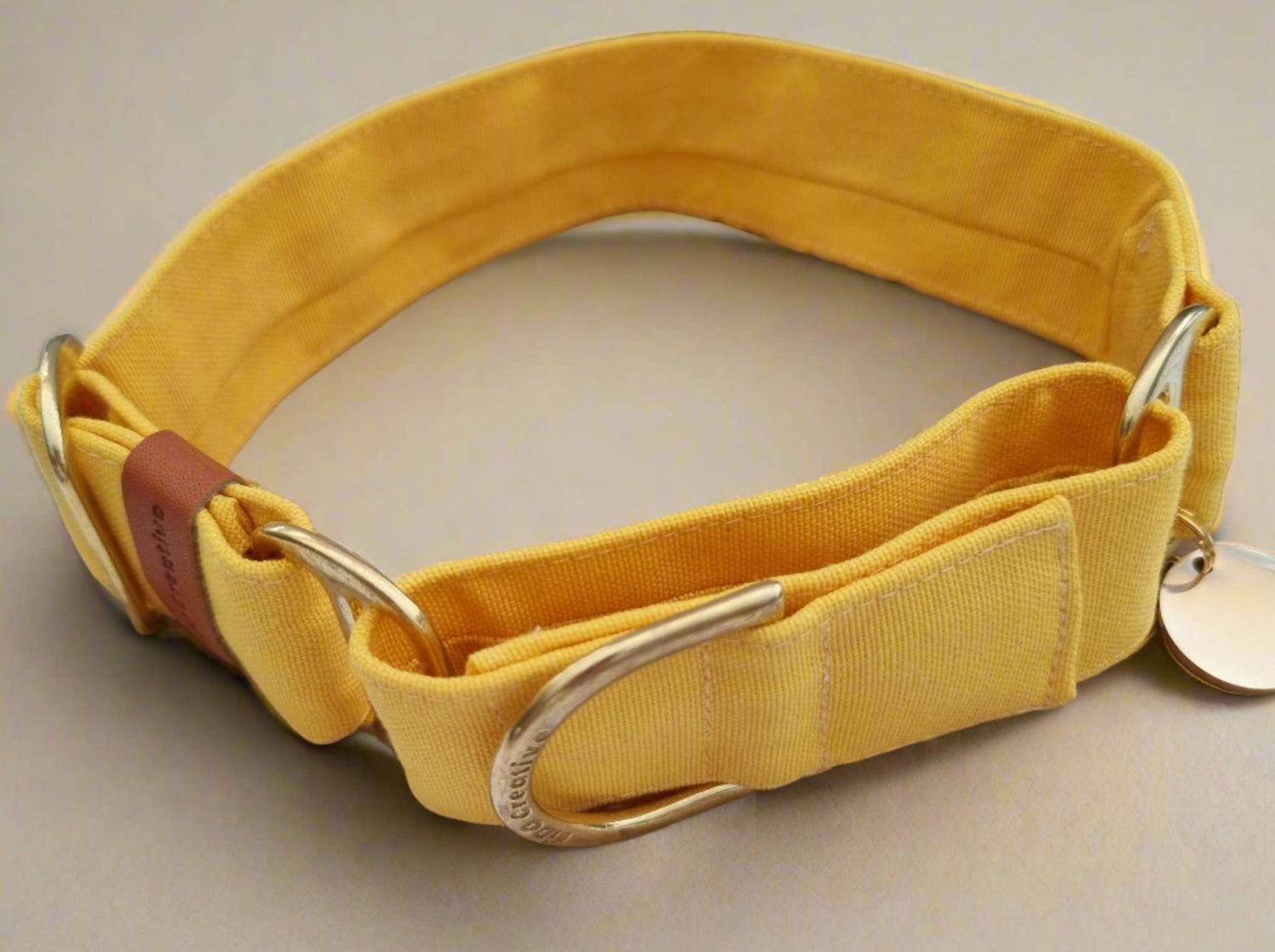 yellow martingale dog collar