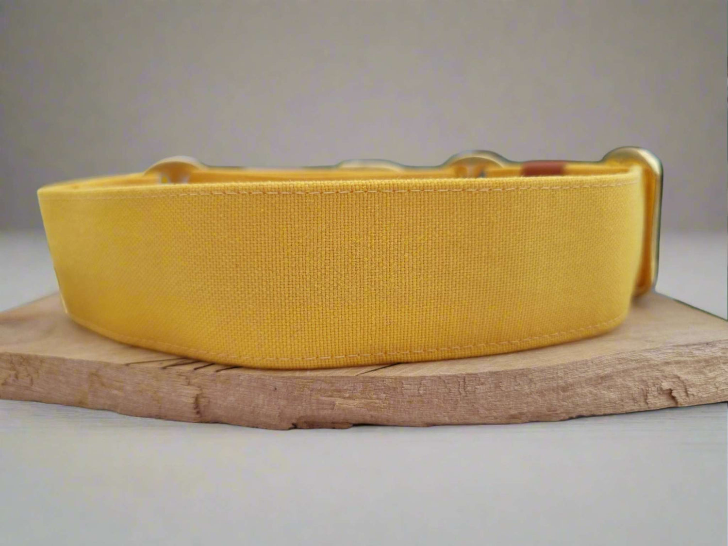martingale dog collar yellow