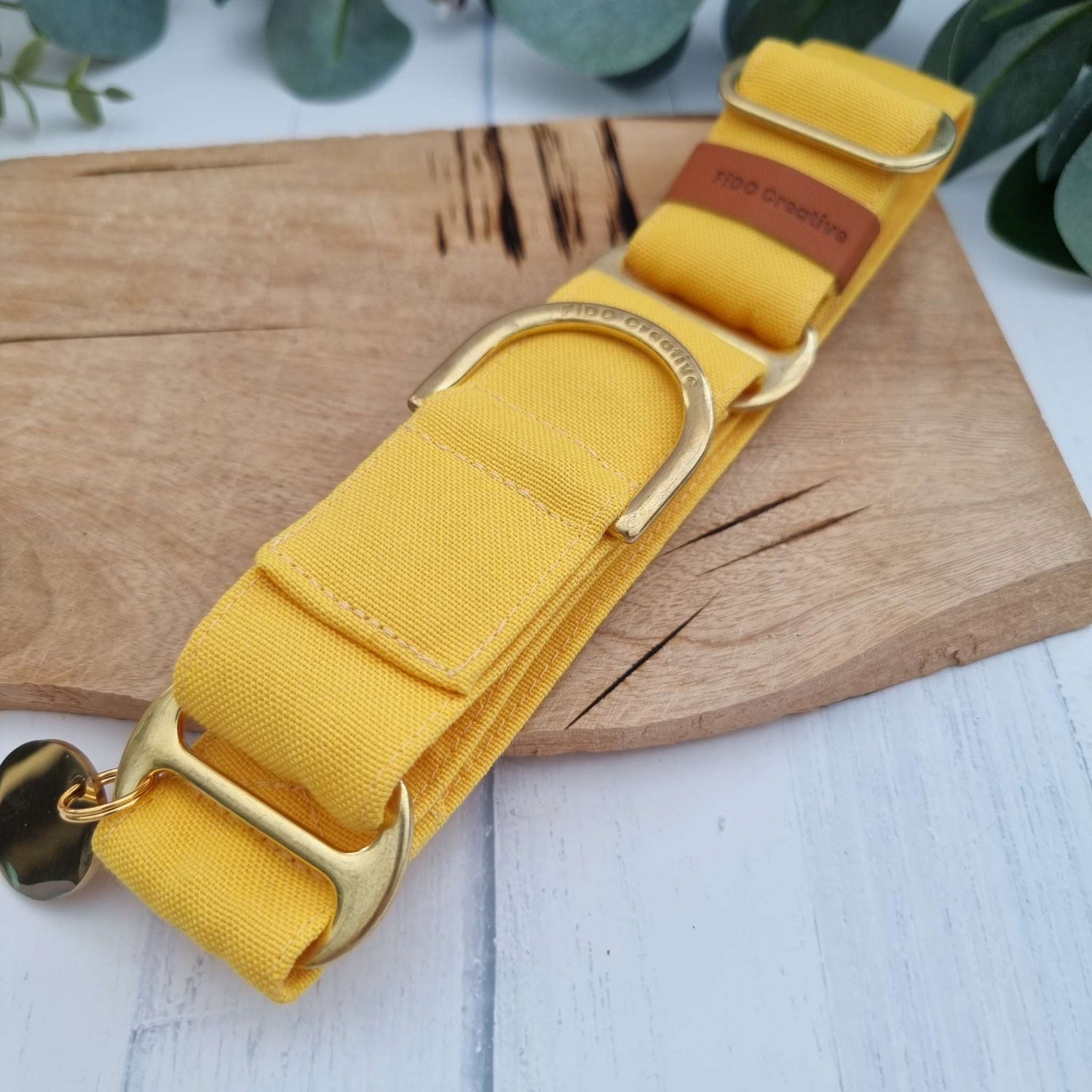 yellow martingale whippet collar