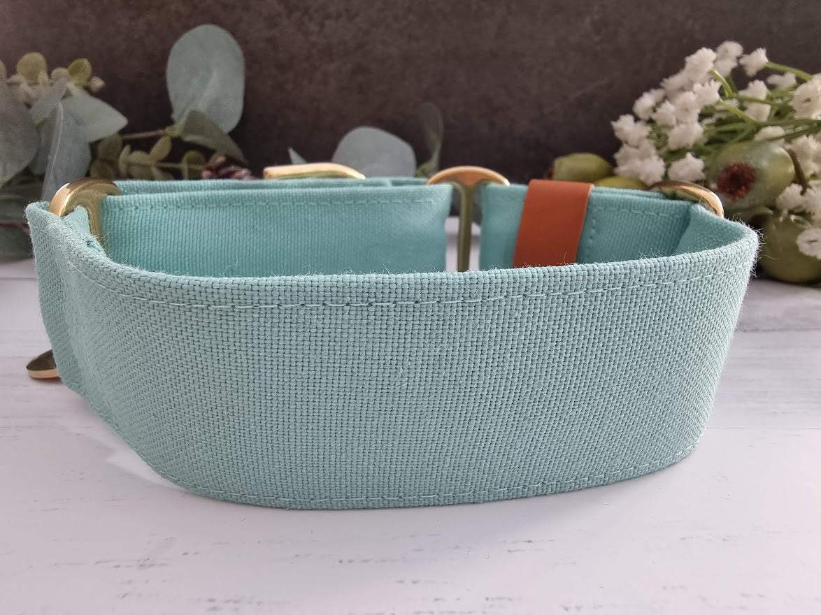 Mint dog collar