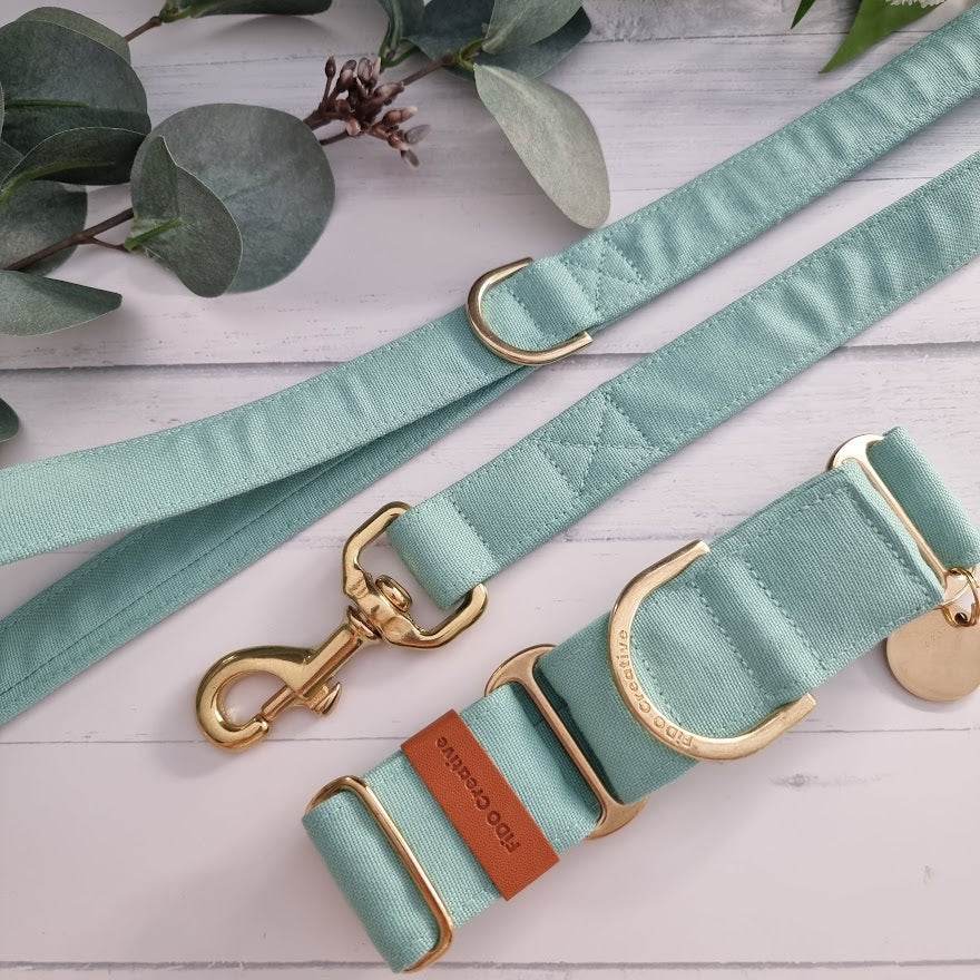 Mint dog collar and leash set